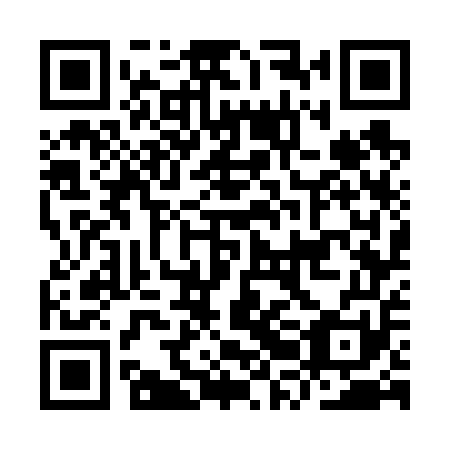 QR code for IRG651