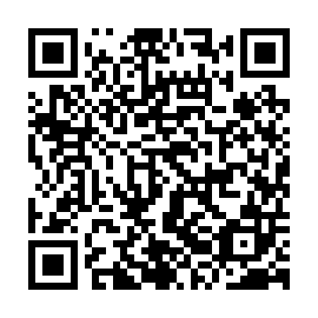 QR code for IRI 202