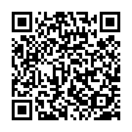QR code for IRL 489