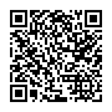 QR code for plate IRL 337
