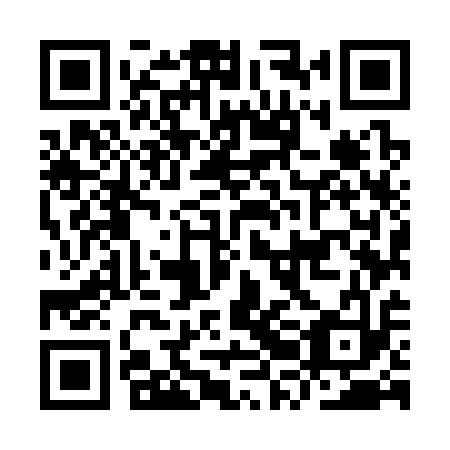 QR code for IRM 313