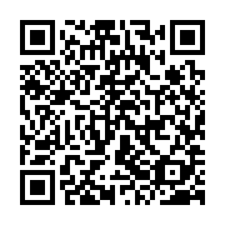 QR code for IRM 389