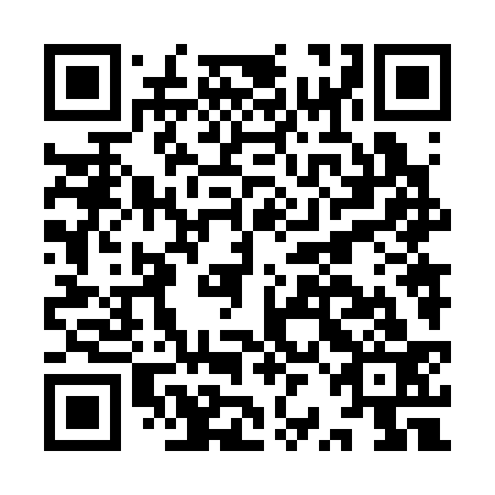 QR code for IRN 333