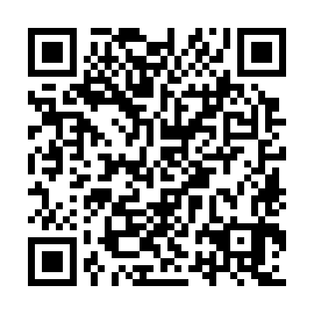 QR code for IRO 383