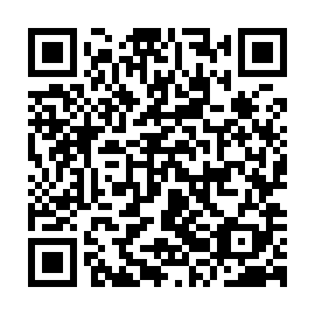 QR code for plate IRO 989