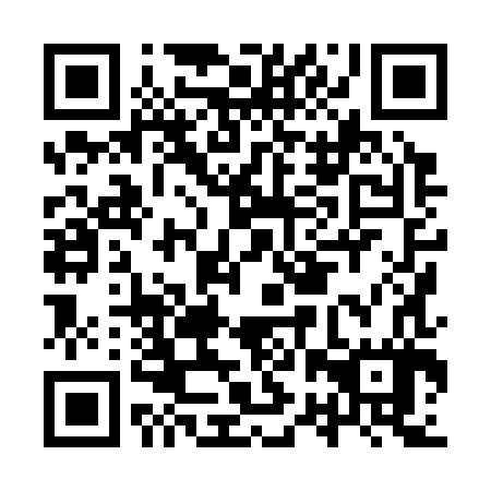 QR code for IRX387