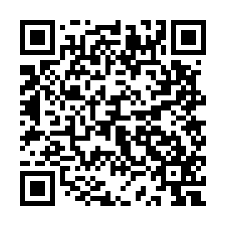 QR code for ISG 517