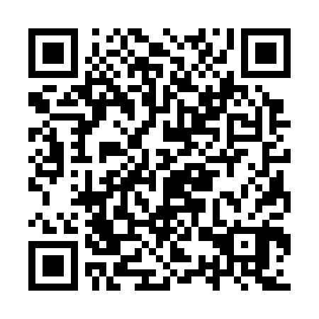 QR code for ISS 300