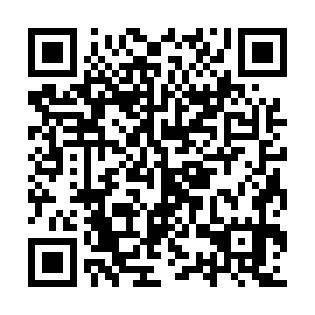 QR code for ISS 575