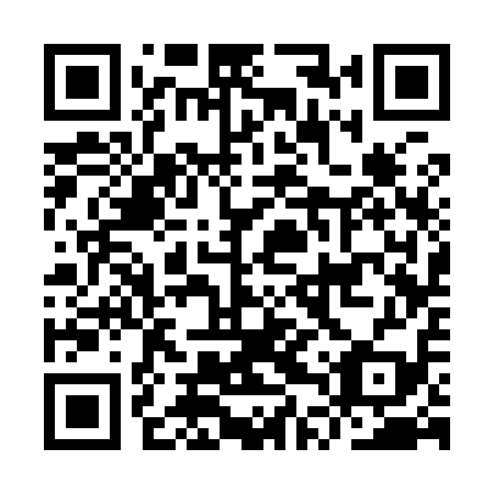 QR code for ITS 919