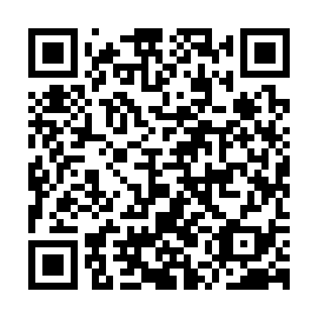 QR code for IUI 339