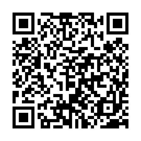 QR code for IUI 493
