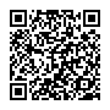 QR code for IUI 528