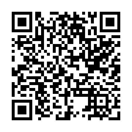 QR code for plate IUI 273