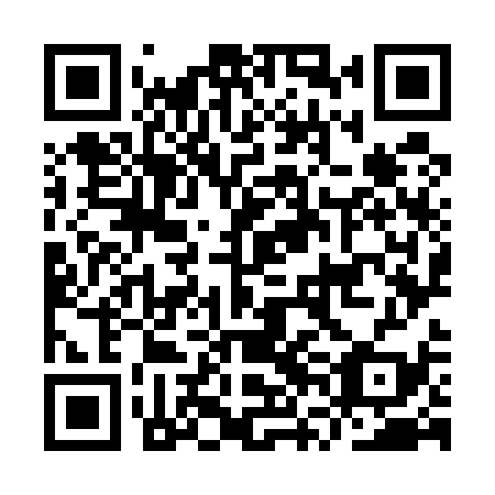 QR code for plate IVO 539
