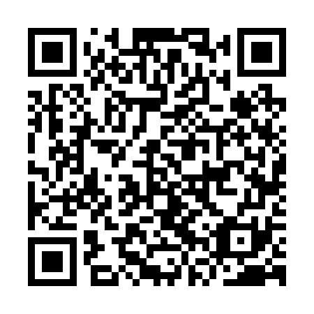 QR code for IVV271