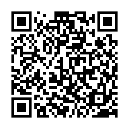 QR code for IVY 333