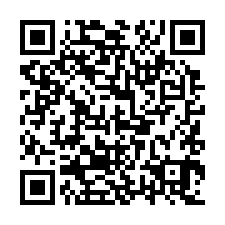 QR code for plate IWD 381