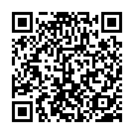 QR code for IWG 378