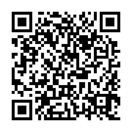 QR code for IWN 382