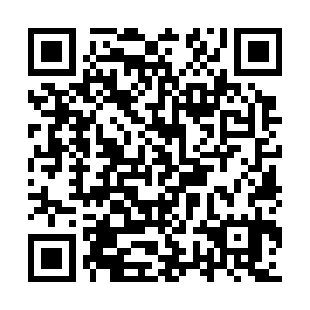 QR code for IWO 335
