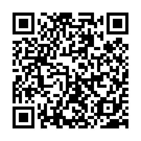 QR code for IWS 411