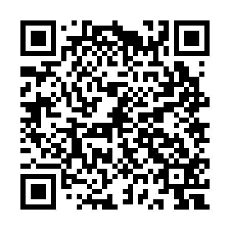 QR code for IWZ 313
