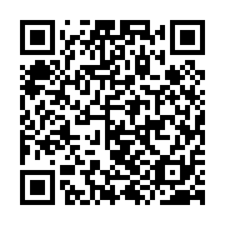QR code for IYE011