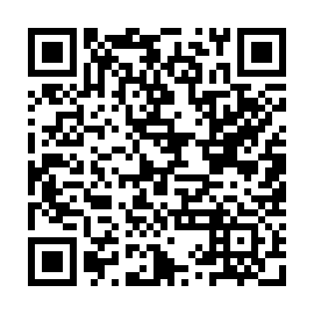 QR code for IYE333