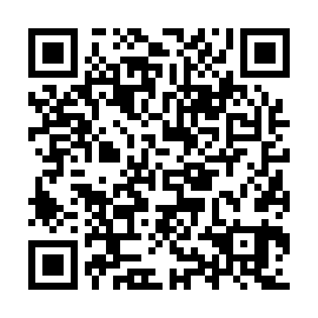 QR code for IYF 161