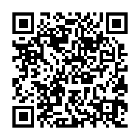 QR code for plate IYG 241