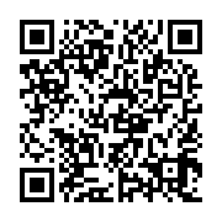 QR code for IYN 919