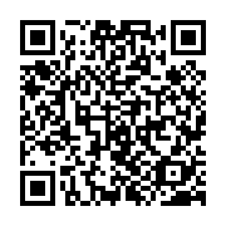 QR code for plate IYN 028