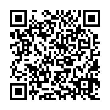 QR code for IYO 234