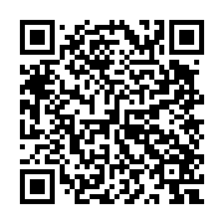 QR code for plate IYO 446