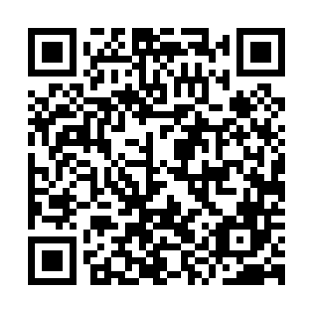 QR code for plate IYT 046