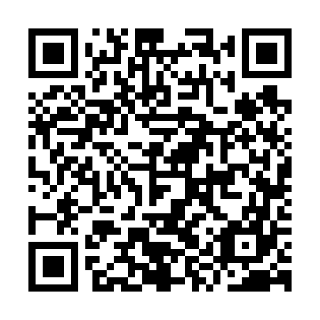 QR code for IYV 667