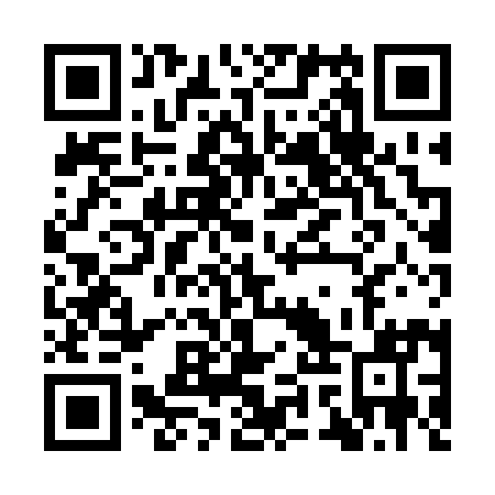 QR code for plate IYX 291