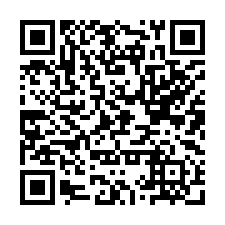 QR code for plate IYX 990