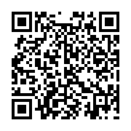 QR code for IYZ 310
