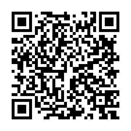 QR code for plate IZI 878
