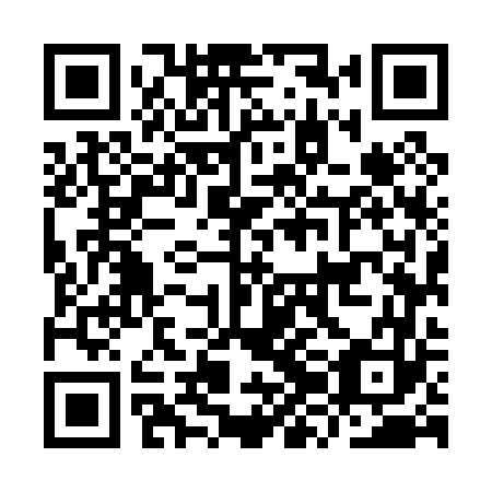 QR code for plate IZM 063