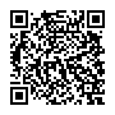 QR code for IZV 462