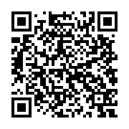 QR code for IZV533