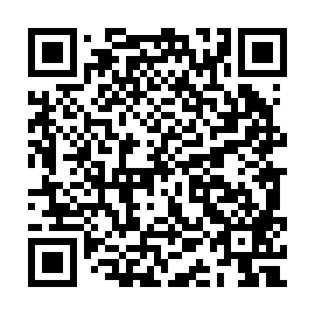 QR code for JAL 289