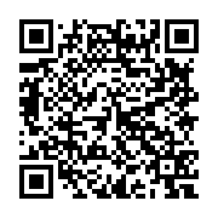 QR code for plate JAY 875