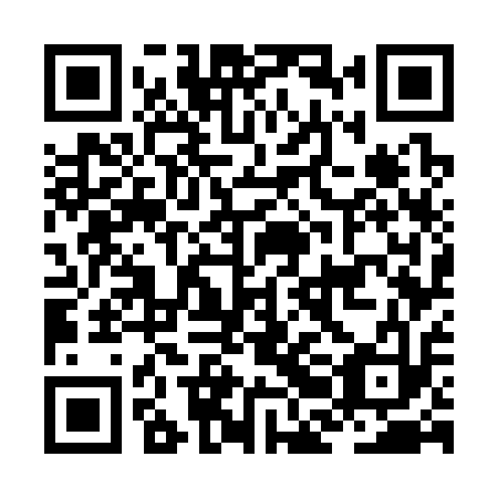 QR code for plate JBG 313