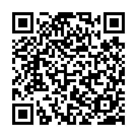 QR code for plate JDM 655