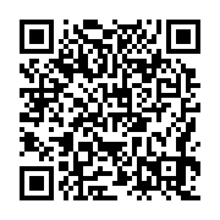 QR code for plate JDX 373