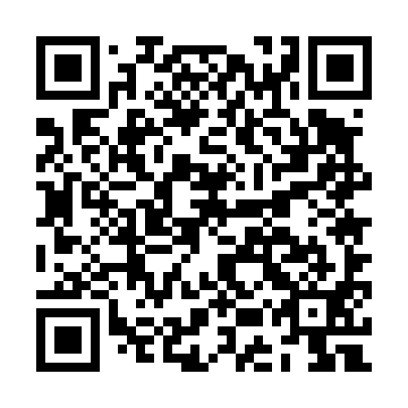 QR code for JEU 491